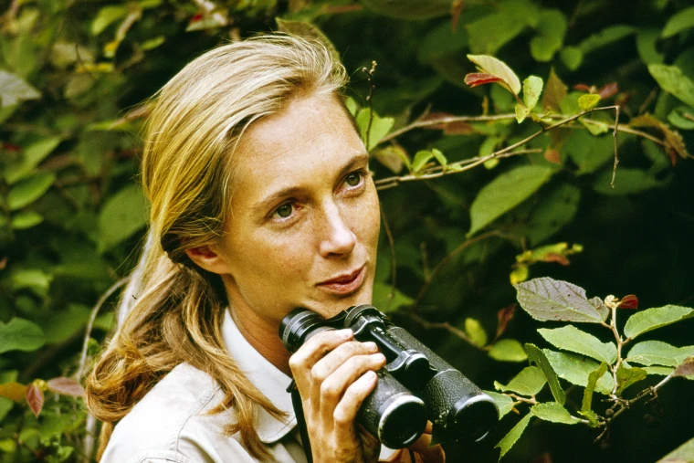 Gambar Jane Goodall.
